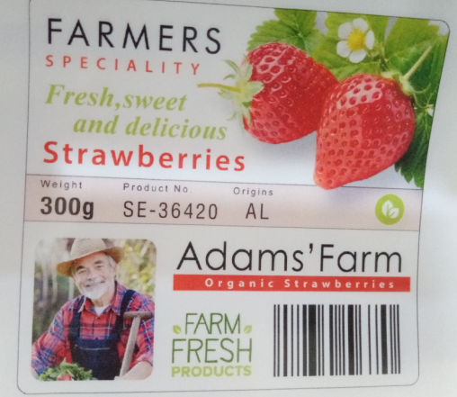 彩色標簽打印效果 彩色標簽打印效果