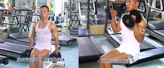坐姿啞鈴彎舉(ju) 