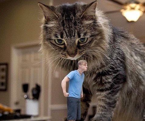 3d打印技術 3d打印技術